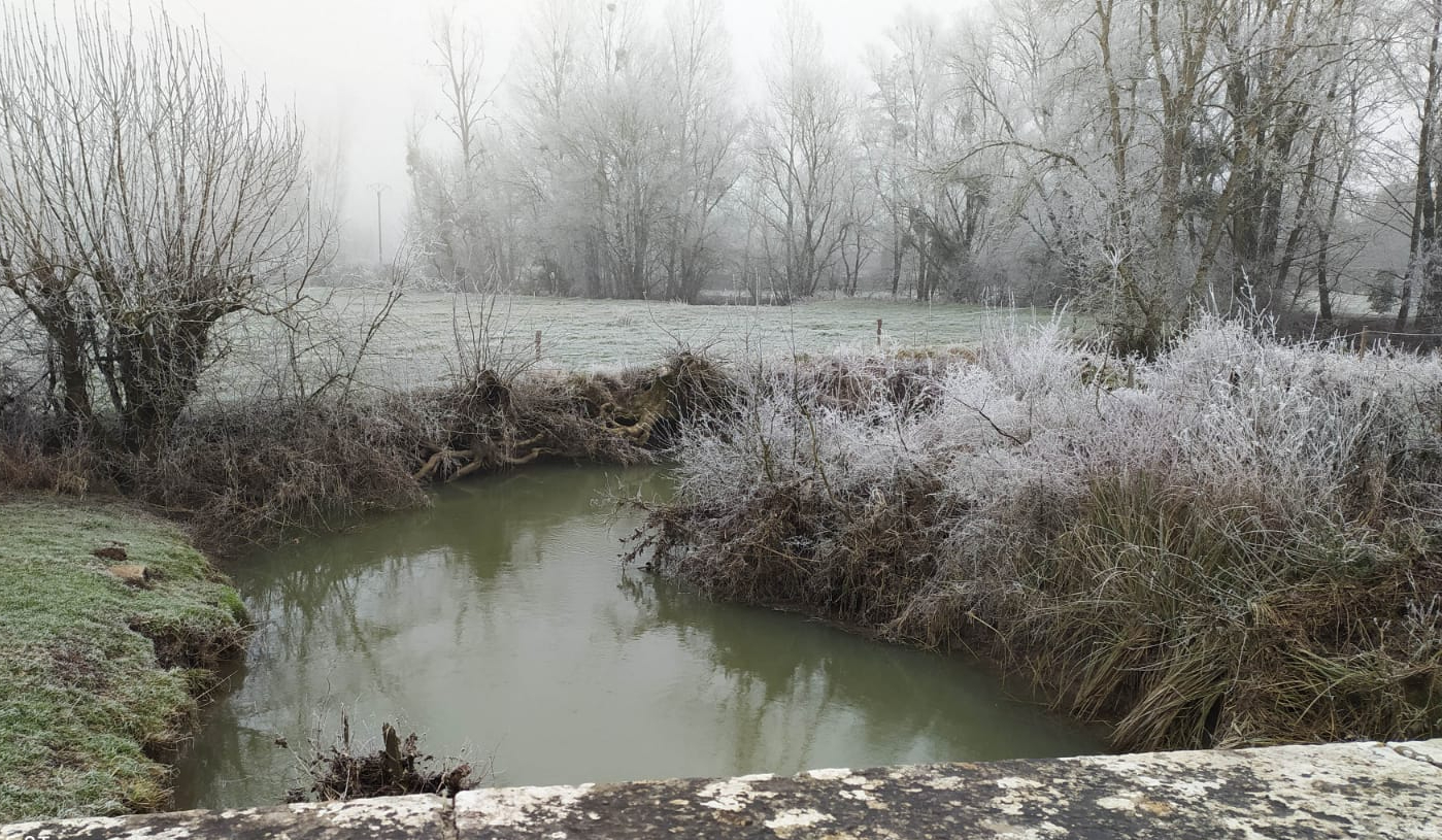 Sous le givre Janvier 2022 5